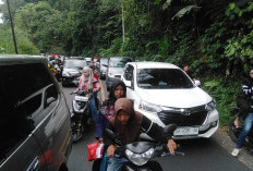 Pesta Sekura Dihelat, Kemacetan Terjadi