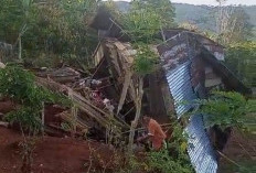 Setelah Rusak Belasan Rumah Warga, Kawanan Gajah Kembali ke Hutan