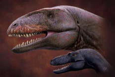 Newtonsaurus cambrensis, Dinosaurus Predator Baru dari Wales yang Hidup 202 Juta Tahun Lalu