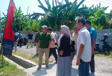 Dedi Irawan Pastikan Kantor Kelurahan Pasar Krui di Bangun
