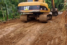 Pekon Ringin Jaya Bangun Jalan Usaha Tani   untuk Tingkatkan Kesejahteraan Petani