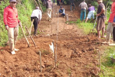 Warga Pekon Sidodadi  Swadaya Perbaiki Jalan 