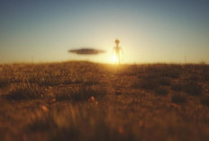 Astronom Manfaatkan Bayangan Bumi untuk Deteksi Potensi Wahana Alien