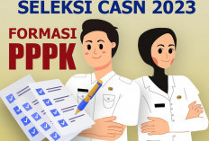 Mayoritas Pelamar PPPK Tidak Lulus Seleksi Administrasi Lakukan Sanggah