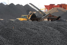 Terima Kasih Afrika! Harga Batu Bara Naik 3% di Akhir Maret 2025