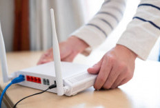 Apa Itu Router? Fungsi, Jenis, dan Cara Kerjanya dalam Jaringan