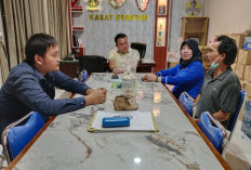 Usai Korban Resmi Berikan Keterangan, LBH Desak Pelaku KDRT Segera Ditangkap