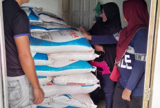Hingga Maret, Serapan Pupuk Subsidi  Masih Belum Maksimal