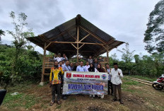 500 Ekor Ayam Petelur Mulai  Produksi Penuhi Kebutuhan Lokal 