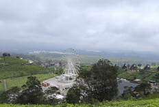 Pesona Pangalengan, Surga Wisata Alam di Bandung
