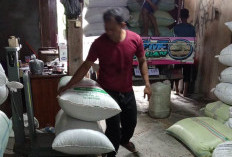 Harga Kopi Kembali Turun, Kini Rp58.000 Perkilogram