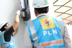 Selain Diskon Tarif Listrik, PLN Ikut Beri Diskon 50% Tambah Daya