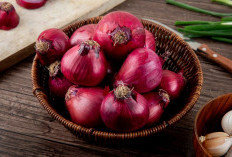 Tips Menyimpan Bawang Merah Agar Tetap Segar Tanpa Kulkas