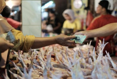 Penurunan Daya Beli Masyarakat di 2025  Diduga Akibat Precautionary Saving