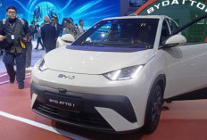 BYD Atto 1 Resmi Meluncur di GIIAS 2025, Mobil Listrik Rp 195 Juta Siap Guncang Pasar