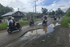Ditekan Publik, Parosil Pastikan Perbaikan  Jalan Liwa-Sukau Tahun ini
