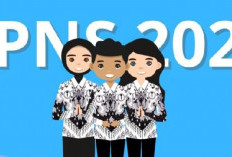 Seleksi CPNS-PPPK 2024, BKPSDM Pesisir Barat Tunggu Pusat