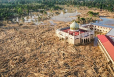 Tumpukan Kayu Gelondongan Kepung Rumah Warga Aceh Utara Usai Banjir