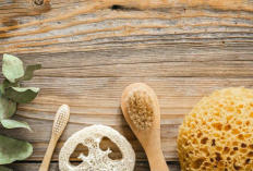 Loofah dan Sikat Serat Kelapa, Pilihan Alami untuk Gaya Hidup Ramah Lingkungan