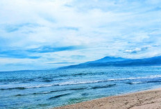 Rahasia Warna Laut, Keindahan yang Menyimpan Cerita Alam