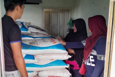 DKPP Pesbar Pastikan Stok Pupuk Subsidi Aman