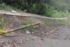 Polsek Sumber Jaya, Himbau Pengendara  Hati-Hati Lintasi di Tanjakan Kebun Tebu 