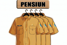 Jumlah ASN Terus Menyusut,   169 Orang Pensiun di 2026