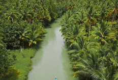 10 Rekomendasi Wisata  Susur Sungai di Indonesia
