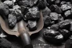 Harga Batu Bara Melejit  Sambut Musim Panas Global