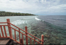 Karampuang, Permata Laut yang  Tersembunyi di Barat Sulawesi