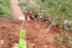 Longsor di Sukarame Timbun Akses Antar Pemangku Hingga Lumpuh 