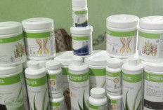 Manfaat dan Potensi Bahaya Mengkonsumsi Herbalife