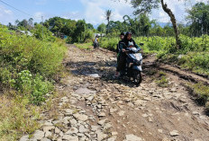 500 Meter Jalan Rusak, Warga Terus Nantikan Perbaikan