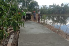 Pembangunan JUT Upaya Mendorong Ekonomi Lokal