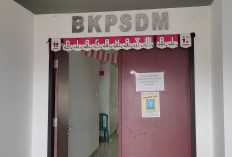 13 Formasi PPPK 2024 Kosong
