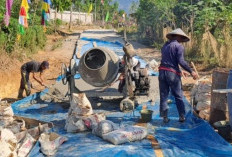 Fokus Infrastruktur, Rowo Rejo Bangun Jalan Usaha Tani