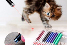 Apakah Mainan Laser Pointer Ideal untuk Kucing? Ini Pro dan Kontranya