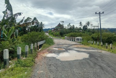 Warga Harap Genangan Air di Jembatan Air Ringkih Segera Ditangani