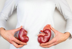 Ilmuwan India Hidup dengan Lima Ginjal Setelah Tiga Kali Transplantasi  