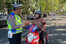 Bolehkah Polisi Memeriksa SIM dan STNK Saat Pengendara Tidak Berada di Jalan Raya, Ternyata Begini  