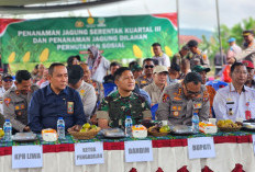 Lahan Tak Produktif Diubah  Jadi Lumbung Pangan