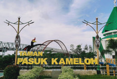 Eksplorasi Palangkaraya, Pesona Wisata Alam dan Kuliner yang Unik