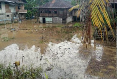 Puluhan Rumah di Buaynyerupa Sering Dilanda Banjir, Warga Tunggu Penanggulangan dari Pemkab Lambar 