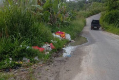 Akibat Konflik Satwa, Wisata Kawah Nirwana Perlahan Ditinggalkan 