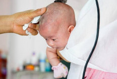 Banyak Manfaat Untuk Kesehatan Cukur Rambut Bayi Sampai Plontos