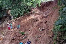  Badan Geologi Ungkap Penyebab Gerakan Tanah di Subang, Potensi Longsor Masih Tinggi