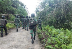 Kontak Tembak di Lanny Jaya, Komandan Operasi OPM Kodap XII Mayu Waliya Tewas