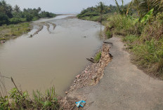 Tanggul Jebol, Warga Laay Harapkan Penanganan