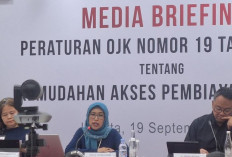 OJK Terbitkan POJK UMKM untuk Tingkatkan Akses Pembiayaan Sektor Usaha Kecil