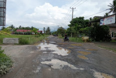 Jalan Provinsi di Kecamatan BNS Rusak Parah, Ketika Musim Hujan Tergenang Air